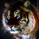 glory white (sajid) - @glorywhitesajid - Twitter