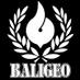 Baligeo Apparel (@baligeoapparel) Twitter profile photo