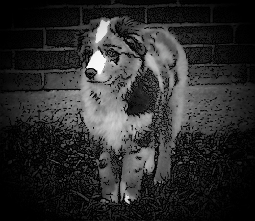 quink2495's profile picture. 