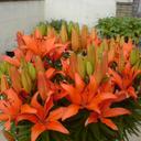 dave beal - @DaveBuddah - Twitter