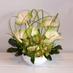 Profile Picture of Jan Watters Florist (@JanWattersFlrst) on Twitter