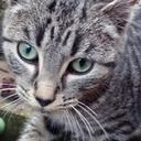 juan jose llano - @llanolafuente - Twitter