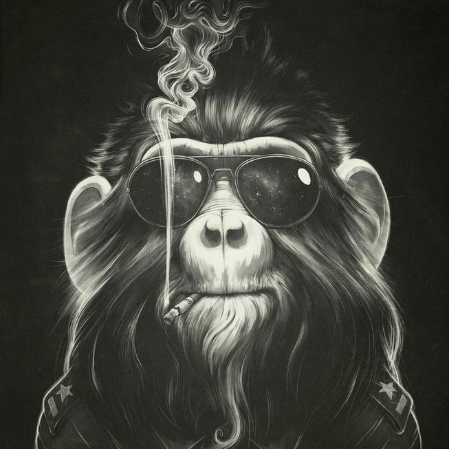 malice_bitch's profile picture. Не потеряйся в том,чего просто нет.