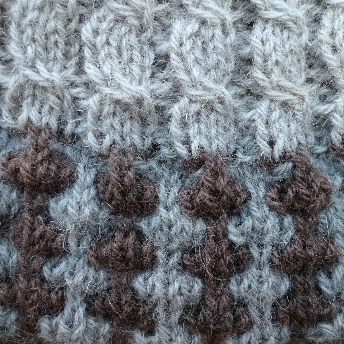 FringillaFleece's profile picture. Hard to think of a drawer to fit in https://t.co/XO0IHTfEBQ