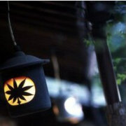 ArvinCheung0712's profile picture. 