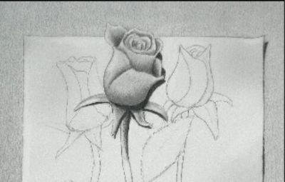 marthagaimer171's profile picture. 