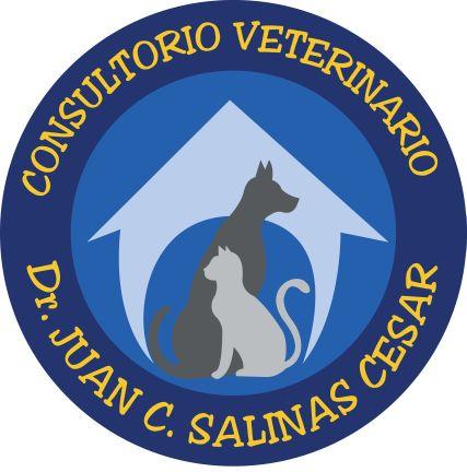 juancsalinasvet's profile picture. Medicina preventiva y homotoxicologia
Hospitalización
Imágenes diagnosticas
Vacunación
Spa canino felino
Droguería
Pet shop
Guardería
Laboratorios