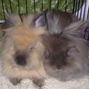 Aaron Wheatley - @15wheatleyaj - Twitter