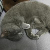 gfi (@gfi) 's Twitter Profile