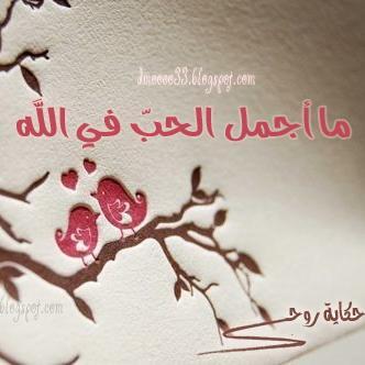 مهما قالوا...
كيفما سخروا...

يكفيك يا رسول الله...

(إِنَّ شَانِئَكَ هُوَ الْأَبْتَرُ)

#أحبك_يا_رسول_الله