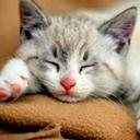 Jane Worthington - @JaneWorthingto5 - Twitter