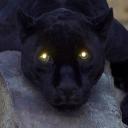 Ona Felicia Covington - @CovingtonOna - Twitter