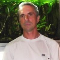 Lazarev_Dmitry's profile picture. Меня зовут Лазарев Дмитрий Валентинович. Я обычный гражданин своей страны. Мне 46 лет я работаю, а в свободное время читаю или пишу статьи для своего блога.