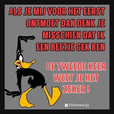 echte meiden zijn niet perfect, 
maar perfecte meiden zijn niet echt