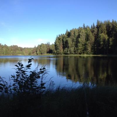 mortenbraaten's profile picture. 