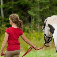 Elizabeth Prosser (@ealmuskoka) 's Twitter Profile
