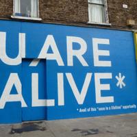 Dublin Daily (@dublineveryday) 's Twitter Profile