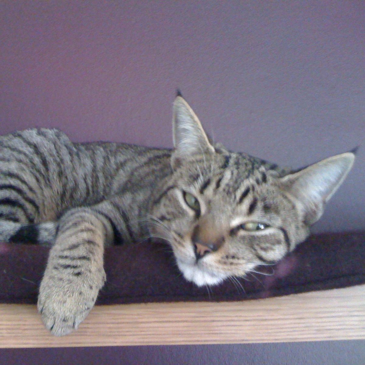 sutherlishious's profile picture. Passionate about empowerment and equality.  Wanting to learn more through debate and reflection.  ignorance is not bliss!