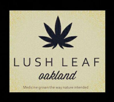 Lush leaf is what happens when you put an Expert Grower with a Holistic Fitness Coach.   Our focus is to break stereotypes around healthy fit cannabis users.