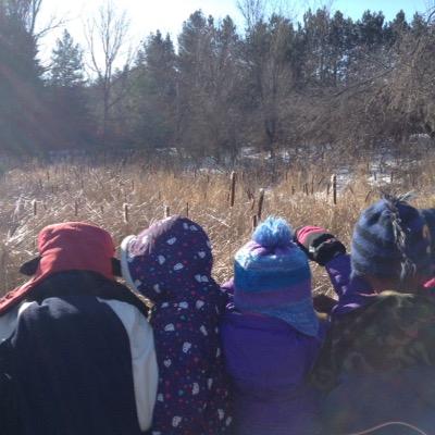 Westmount is a Platinum Certified, K-5 school in the TDSB. The Westmount EcoTeam is a group of teachers, staff and parents working together to green our school.