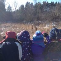 Westmount EcoTeam (@ecowestmount) 's Twitter Profile