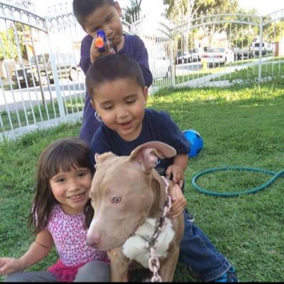 destinynolasco's profile picture. hello kity