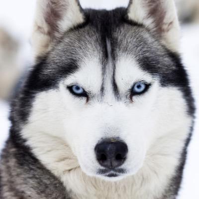 harryball_ball's profile picture. 