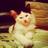 1cat2ruledemall's profile image