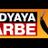 abdurrahmankrol's profile image