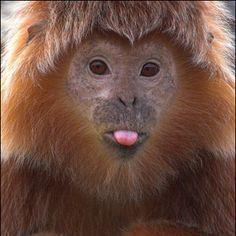 GrinningGibbons's profile picture. Tweet No Evil. #CoreMaths #thearchers