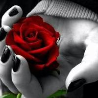 جن وحن (@alamrms120020) Twitter profile photo