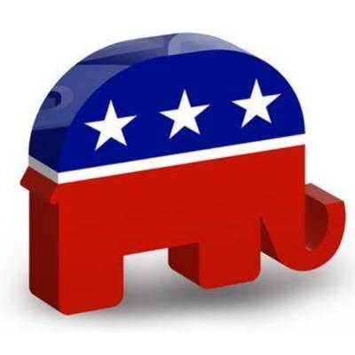 WVHouseGOP's profile picture. 