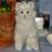 Tweet_Twat_Twot's profile image