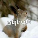 جلوي البديري (@0012a33) Twitter