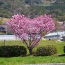 Y - @tommy_yates - Twitter