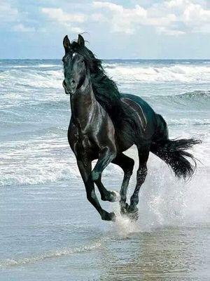 MeraEsmail's profile picture. اللهم لك الحمد كما ينبغي لجلال وجهك وعظيم سلطانك