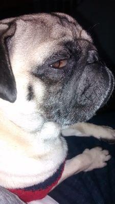 ivanzuko79's profile picture. 