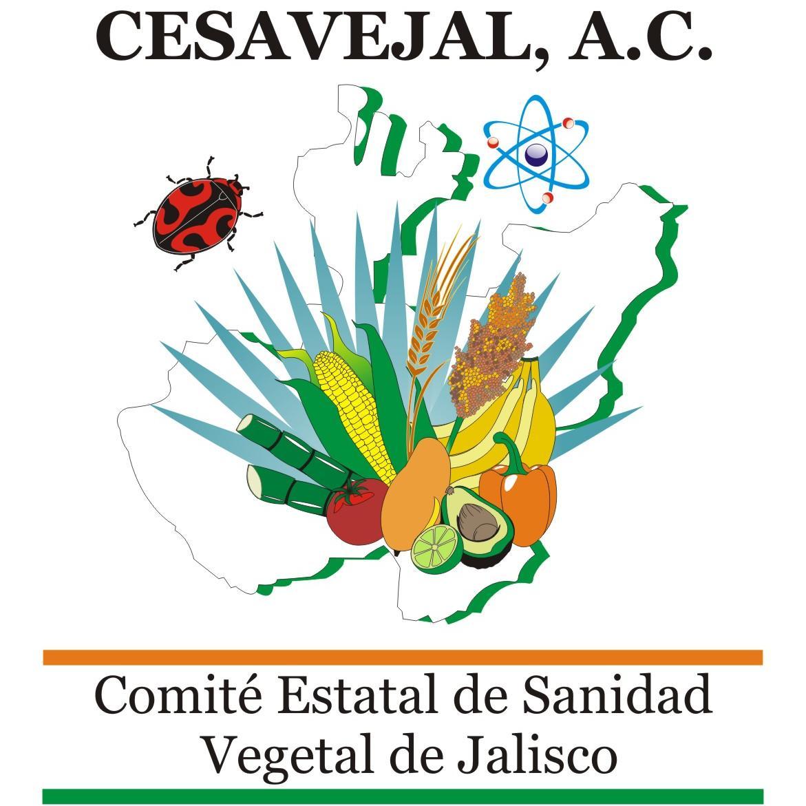 Somos un Organismo Auxiliar de la Secretaria de Agricultura, para apoyar con acciones para erradicar plagas en los diferentes productos del campo, en Jalisco.