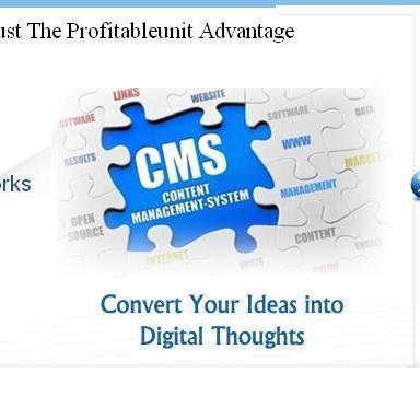 profitableunit's profile picture. ProfitableUnit is an upcoming SEO company, who has recently ventured into this field to help businesses grow online.