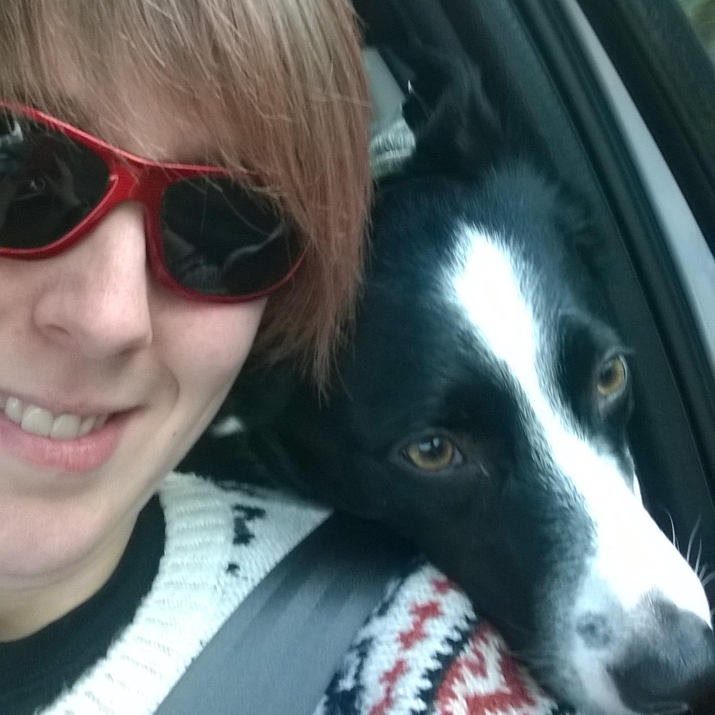 LizGDIdiot's profile picture. 