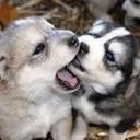 jackie pendleton - @fresno_jackie - Twitter