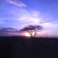 FGM Out (@womanofkenya) 's Twitter Profile