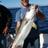 finch138's profile image