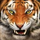 Andre Eaton - @elliskely - Twitter