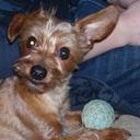 Annie Funk - @anniefunk - Twitter