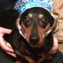 michael blum - @golficon55 - Twitter