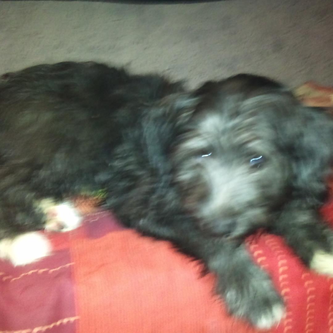 neuswest's profile picture. 