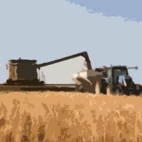 thecombinedance's profile picture. #thecombinedance is simple: just need a combine (leftarm/auger out), a tractor (hands behind back), & a grain cart (horizontal circle w/arms); now dump on go!