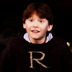 Não me faça perguntas e eu não te direi mentiras  • Hufflepuff