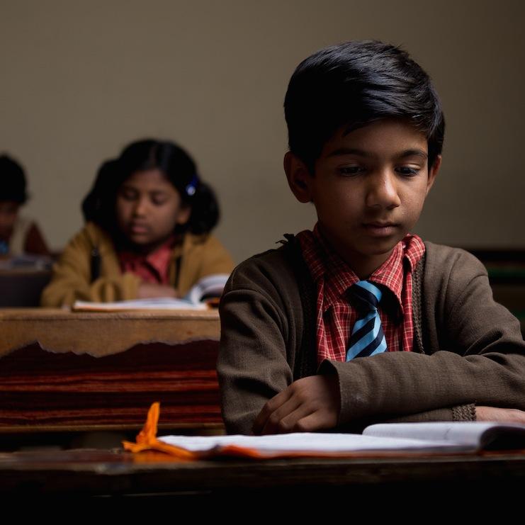 theforestmovers's profile picture. 